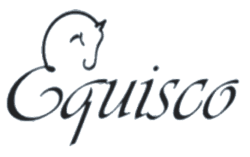 Pferde in Einklang & Balance